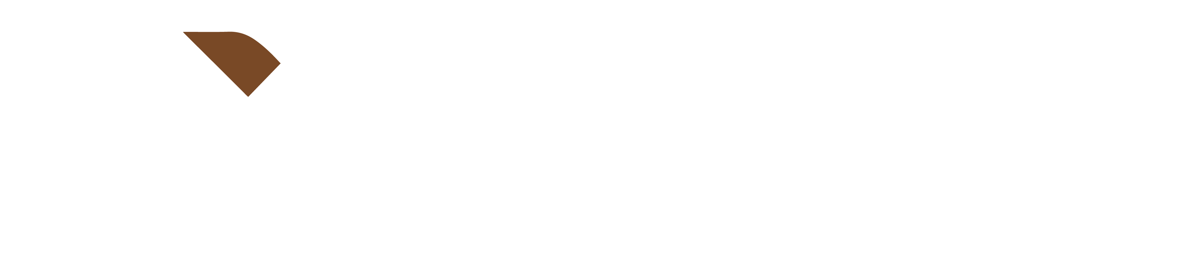 Basic Pro Logo